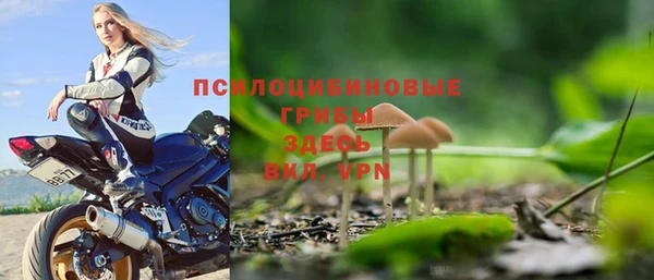 трава Аркадак