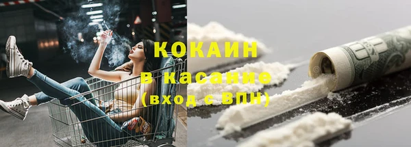 шишки Армянск