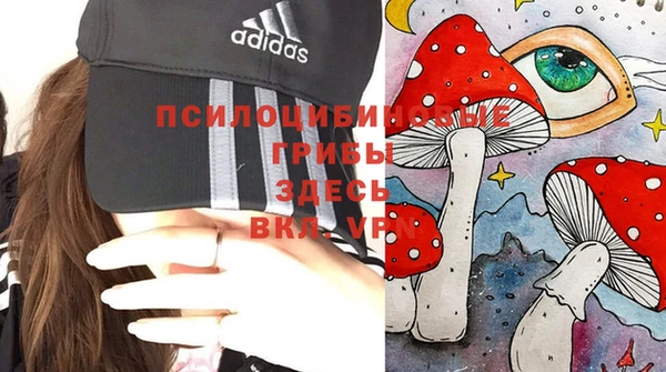 шишки Армянск