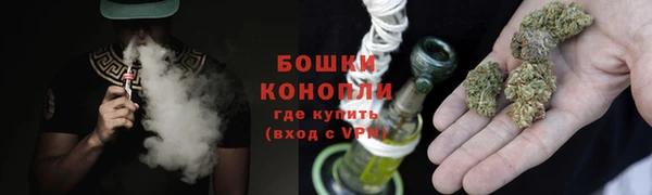 трава Аркадак