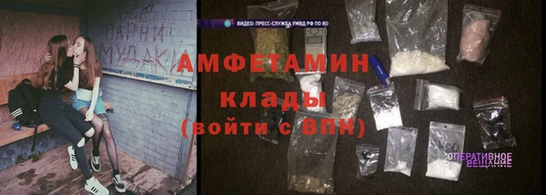 шишки Армянск