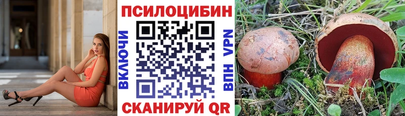 Галлюциногенные грибы GOLDEN TEACHER  хочу   Фрязино 
